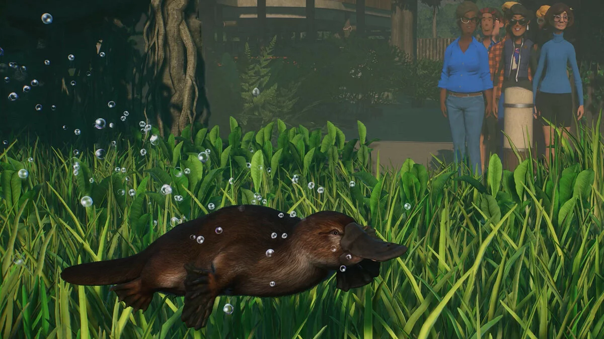 Скриншоты из Planet Zoo / Картинка 163