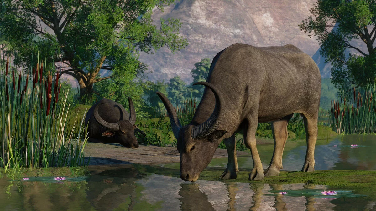 Скриншоты из Planet Zoo / Картинка 164