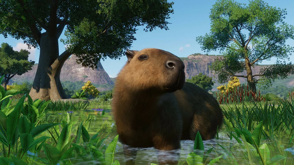 Скриншоты из Planet Zoo / Картинка 165