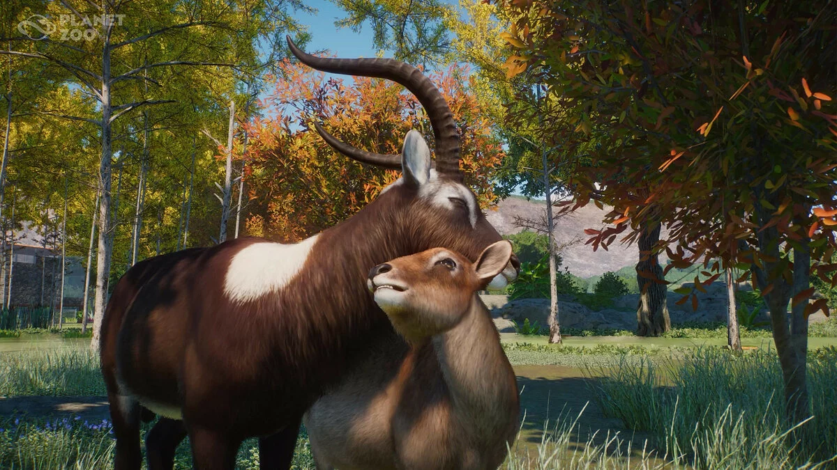 Скриншоты из Planet Zoo / Картинка 166