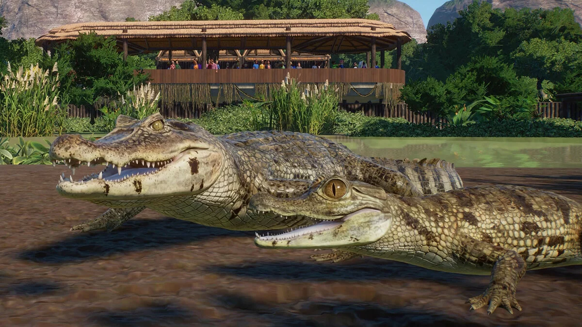 Скриншоты из Planet Zoo / Картинка 167