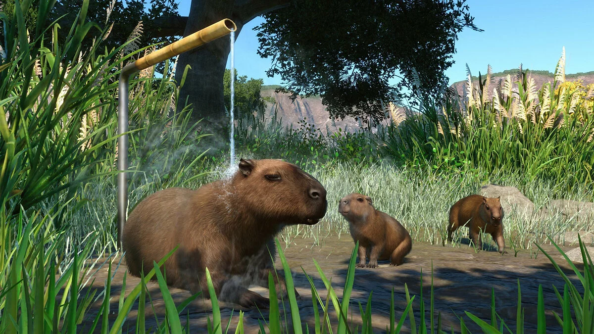 Скриншоты из Planet Zoo / Картинка 168
