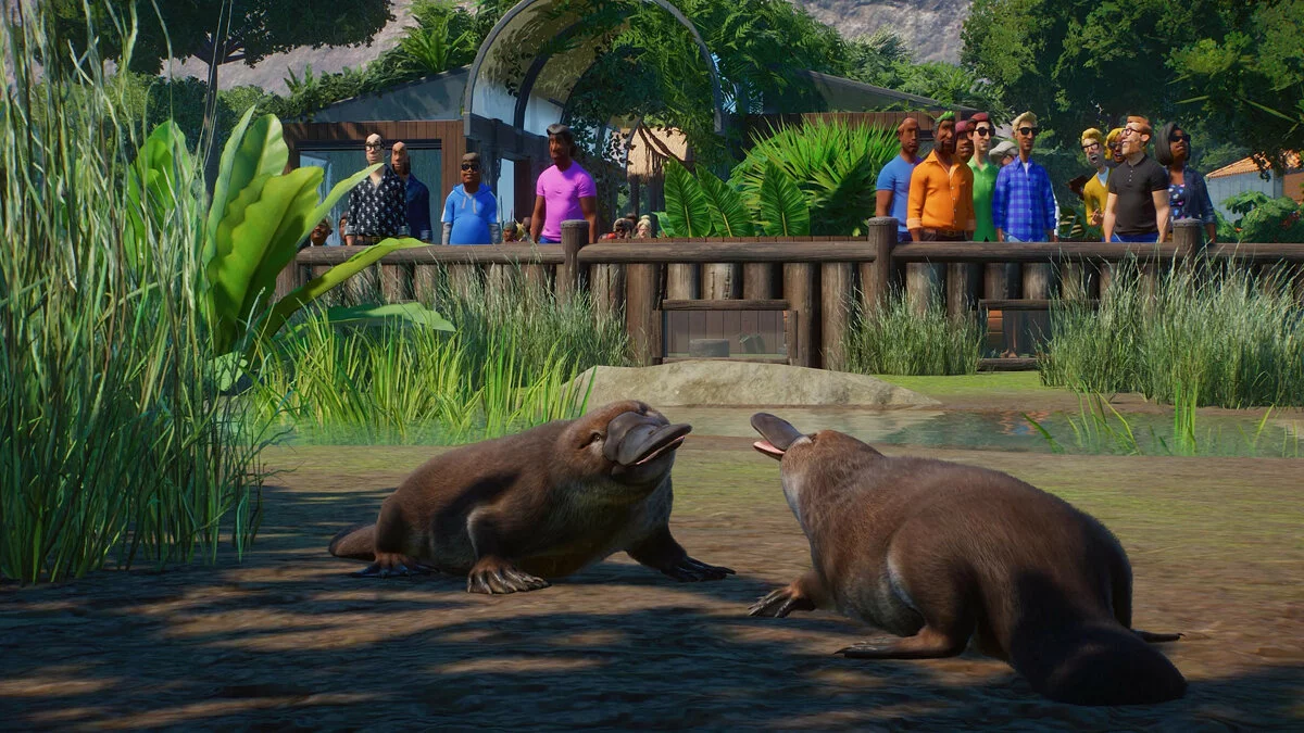 Скриншоты из Planet Zoo / Картинка 169