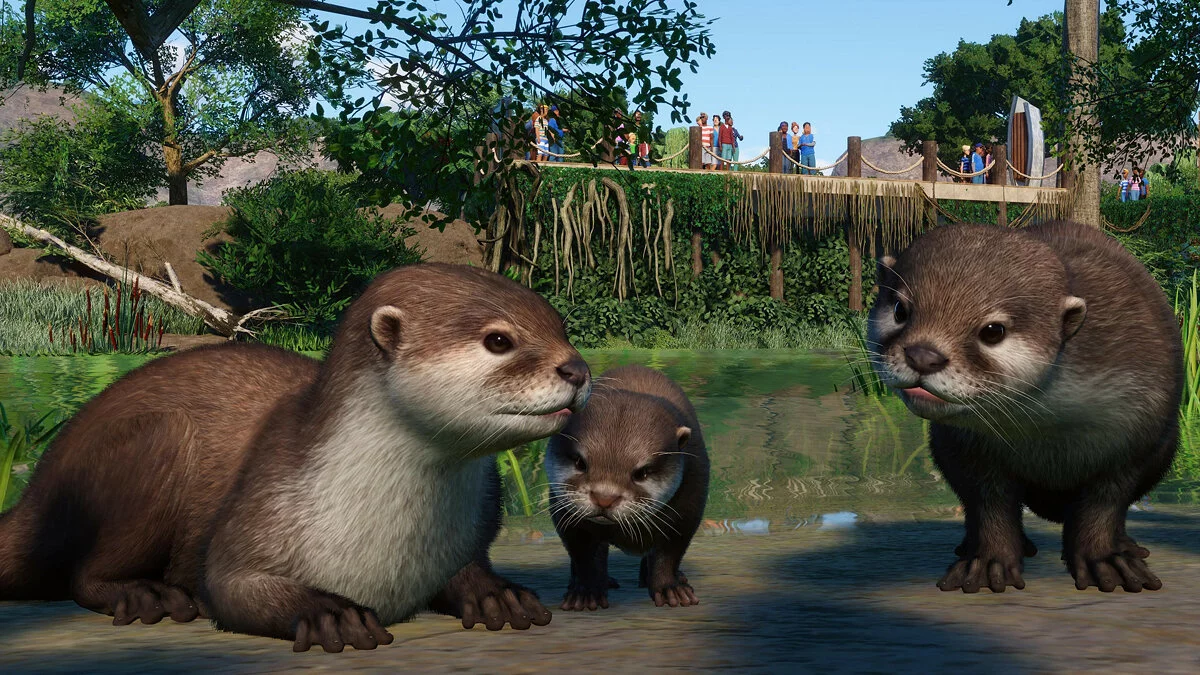 Скриншоты из Planet Zoo / Картинка 171