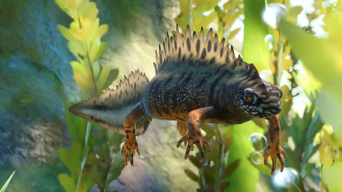 Скриншоты из Planet Zoo / Картинка 172