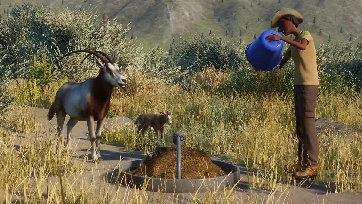 Скриншоты из Planet Zoo / Картинка 174