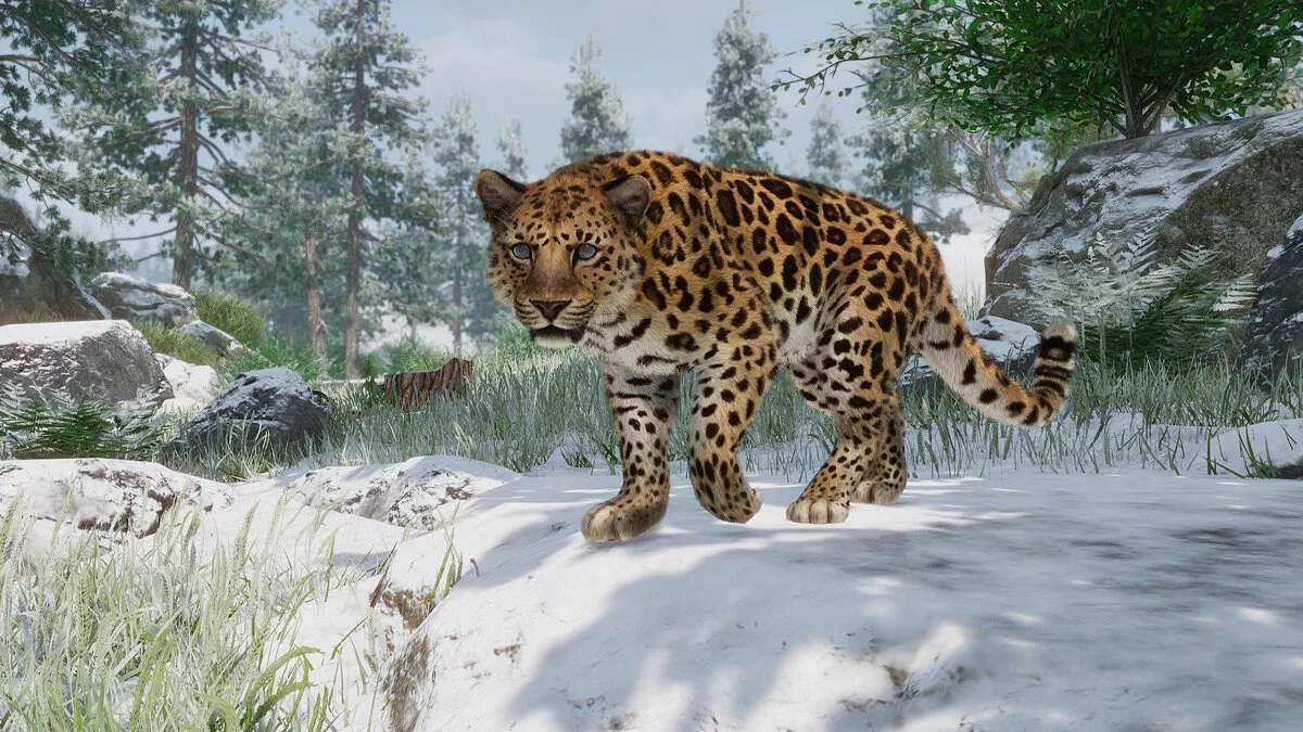 Скриншоты из Planet Zoo / Картинка 176
