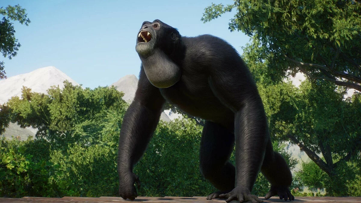 Скриншоты из Planet Zoo / Картинка 182