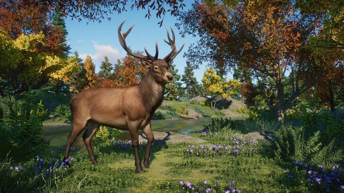 Скриншоты из Planet Zoo / Картинка 192