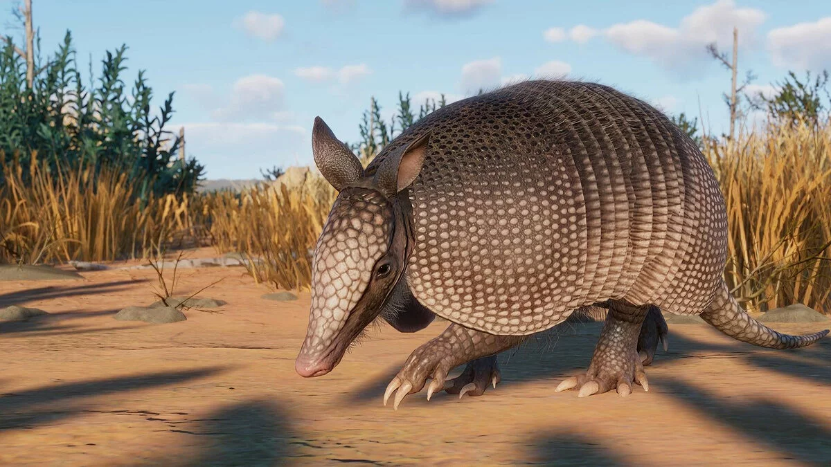 Скриншоты из Planet Zoo / Картинка 194