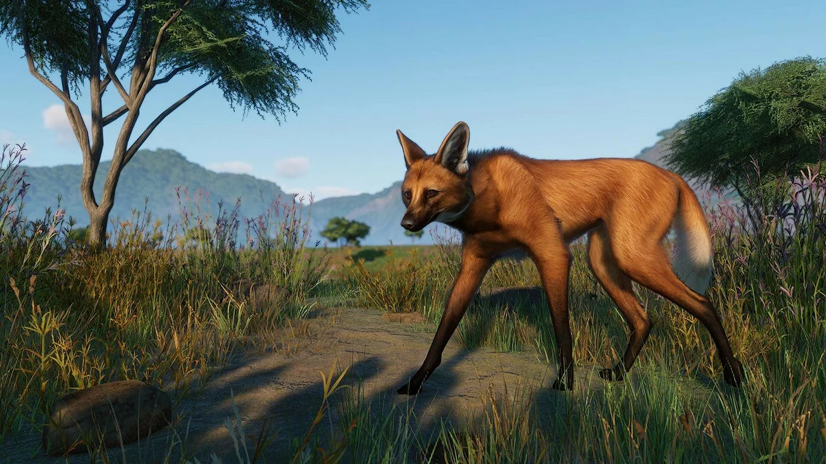 Скриншоты из Planet Zoo / Картинка 193