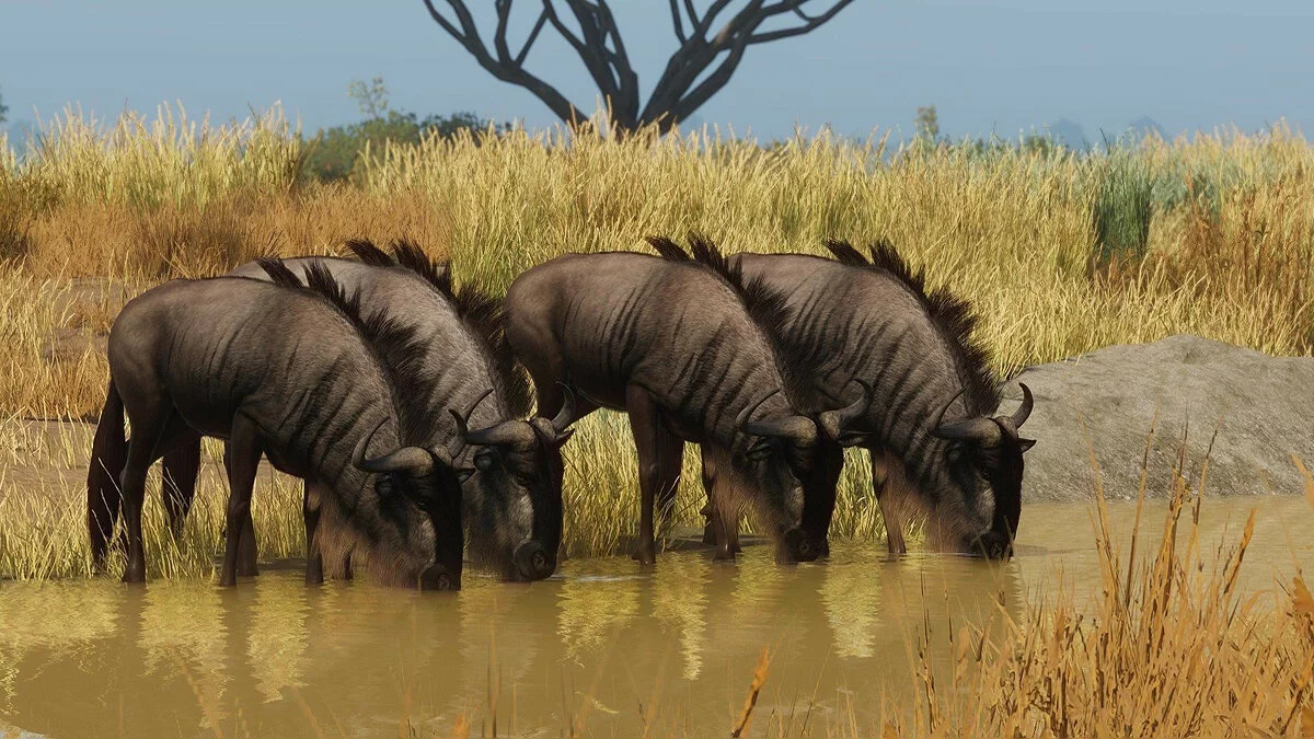 Скриншоты из Planet Zoo / Картинка 197
