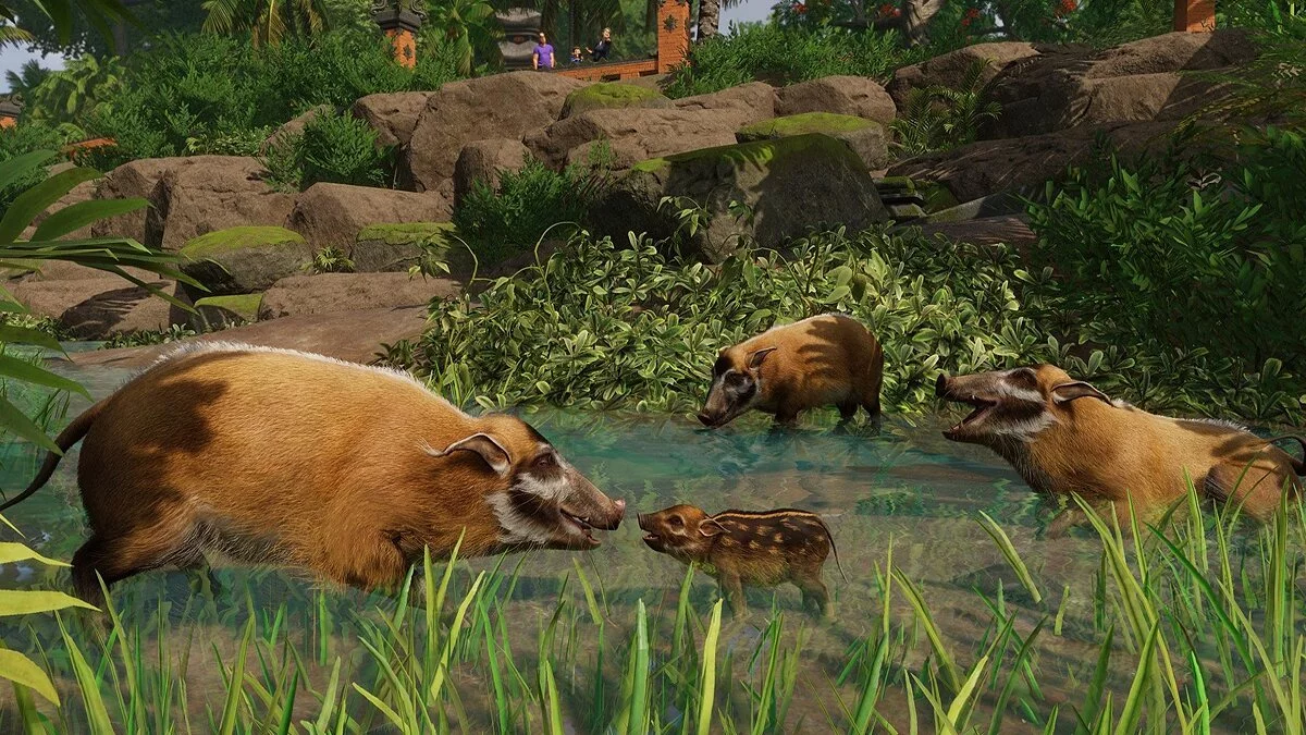 Скриншоты из Planet Zoo / Картинка 202