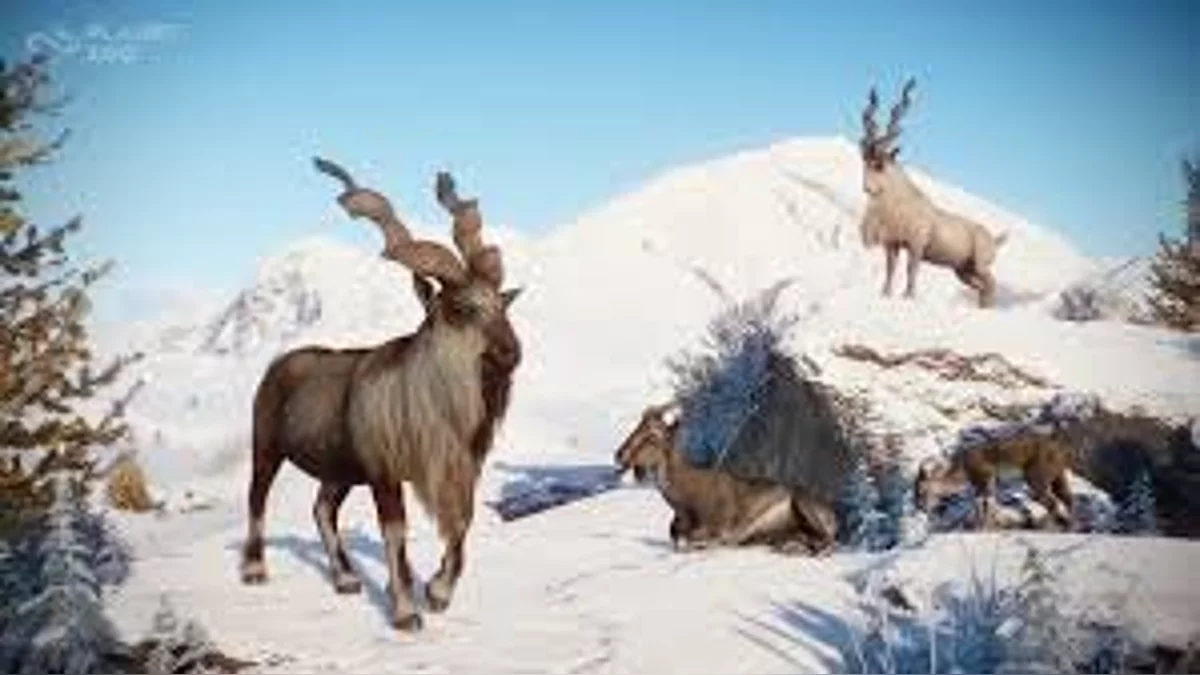 Скриншоты из Planet Zoo / Картинка 245