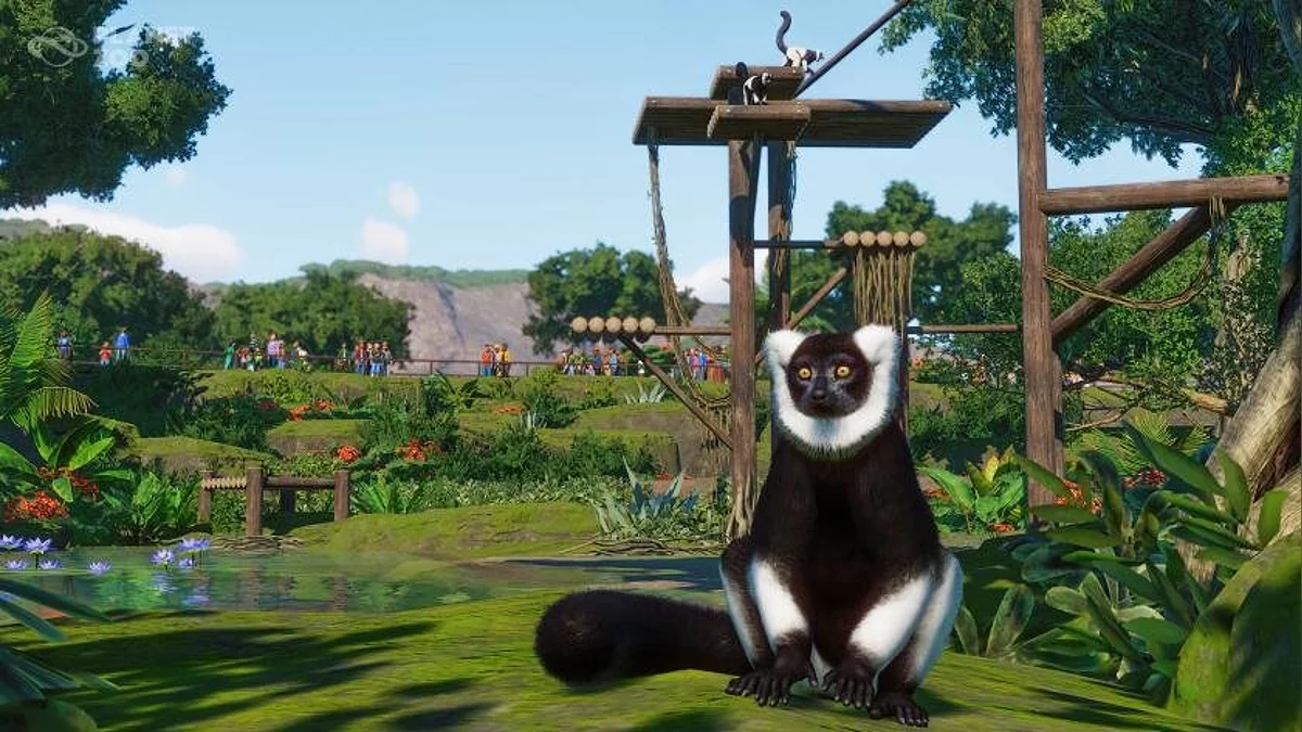 Скриншоты из Planet Zoo / Картинка 246