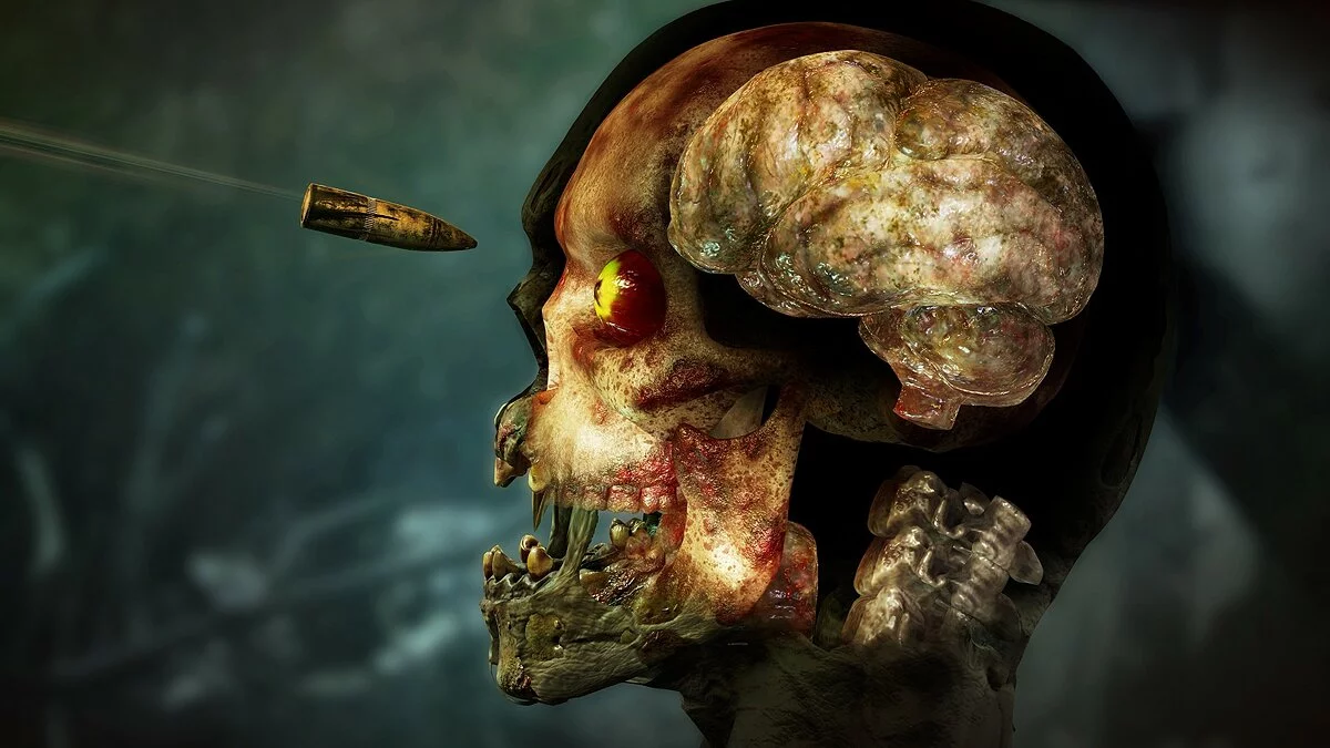 Скриншоты из Zombie Army 4: Dead War / Картинка 3