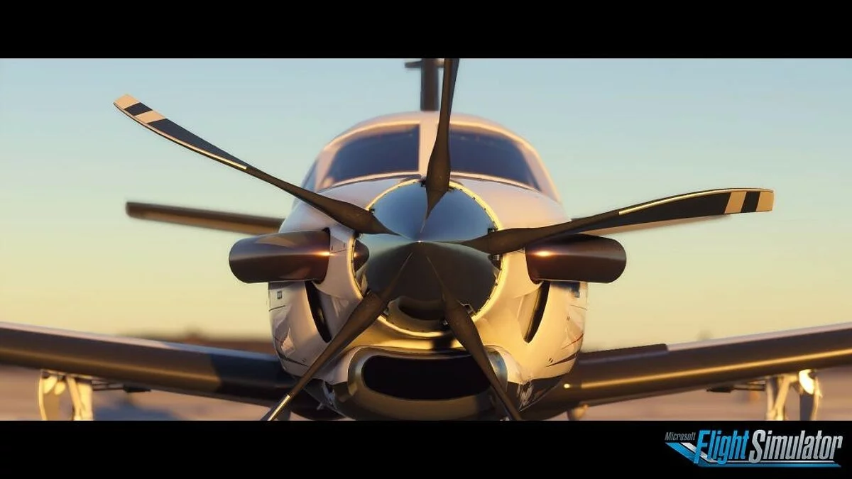Скриншоты из Microsoft Flight Simulator / Картинка 1