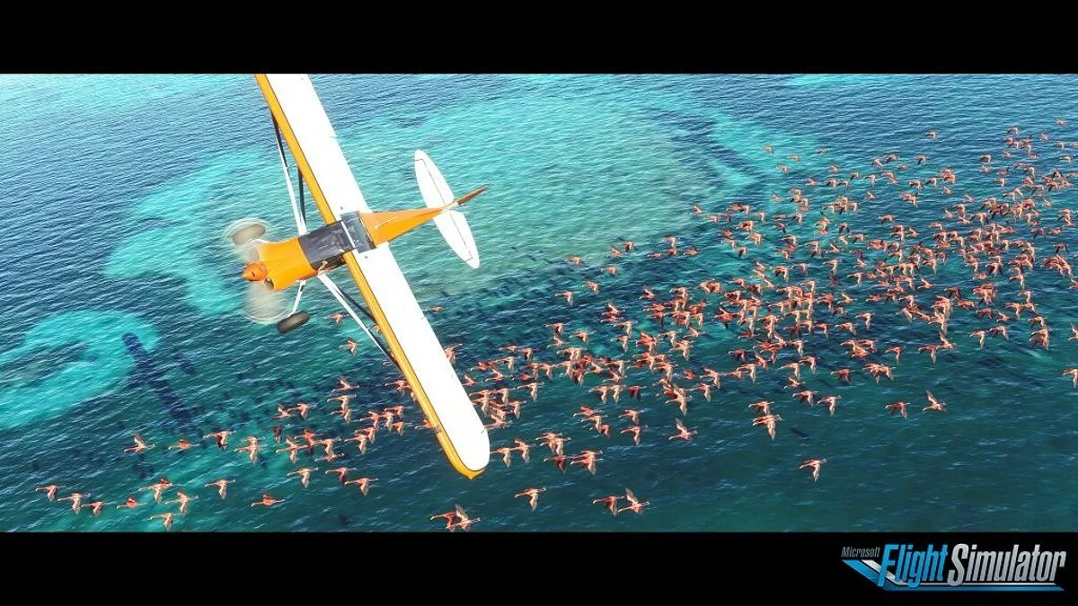 Скриншоты из Microsoft Flight Simulator / Картинка 3
