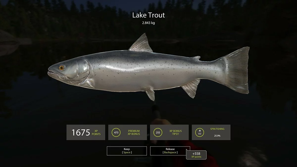 Скриншоты из Russian Fishing 4 / Картинка 11
