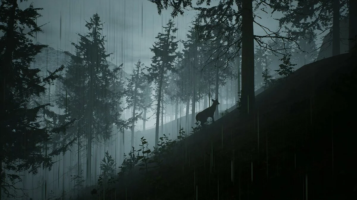 Скриншоты из Morels: The Hunt / Картинка 16
