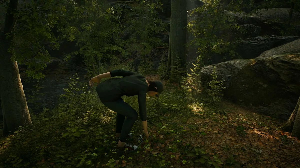 Скриншоты из Morels: The Hunt / Картинка 17