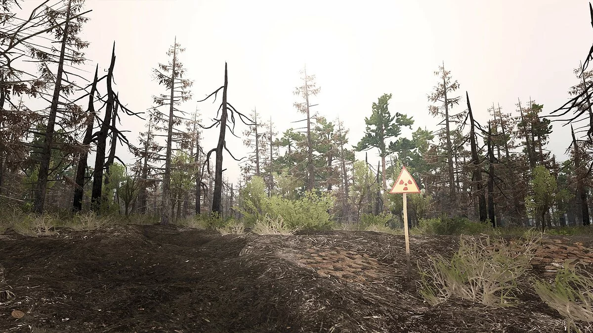Скриншоты из Spintires: Chernobyl / Картинка 9