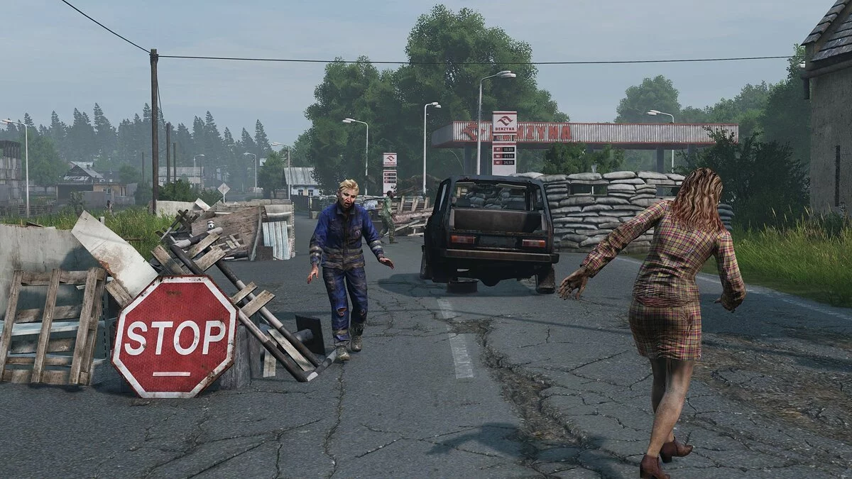 Скриншоты из DayZ Livonia / Картинка 10