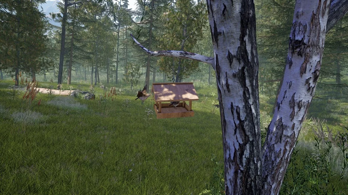 Скриншоты из Forest Ranger Simulator / Картинка 9