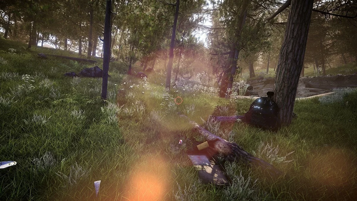 Скриншоты из Forest Ranger Simulator / Картинка 12