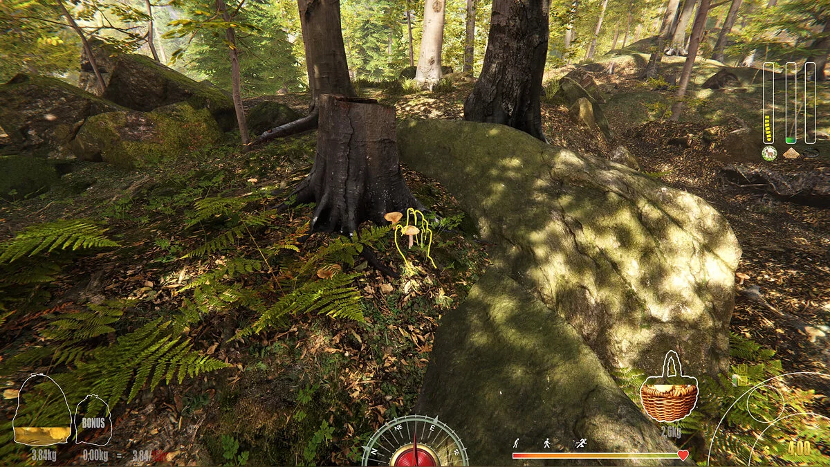 Скриншоты из Forest Ranger Simulator / Картинка 58