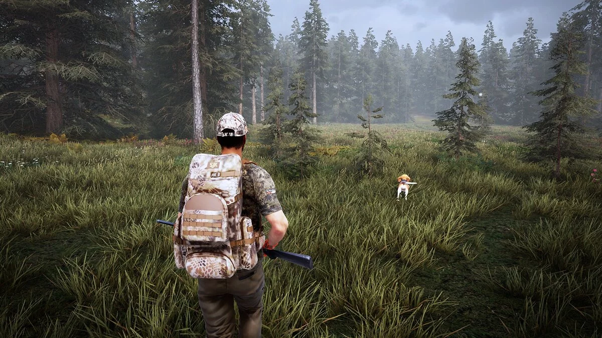 Скриншоты из Hunting Simulator 2 / Картинка 1