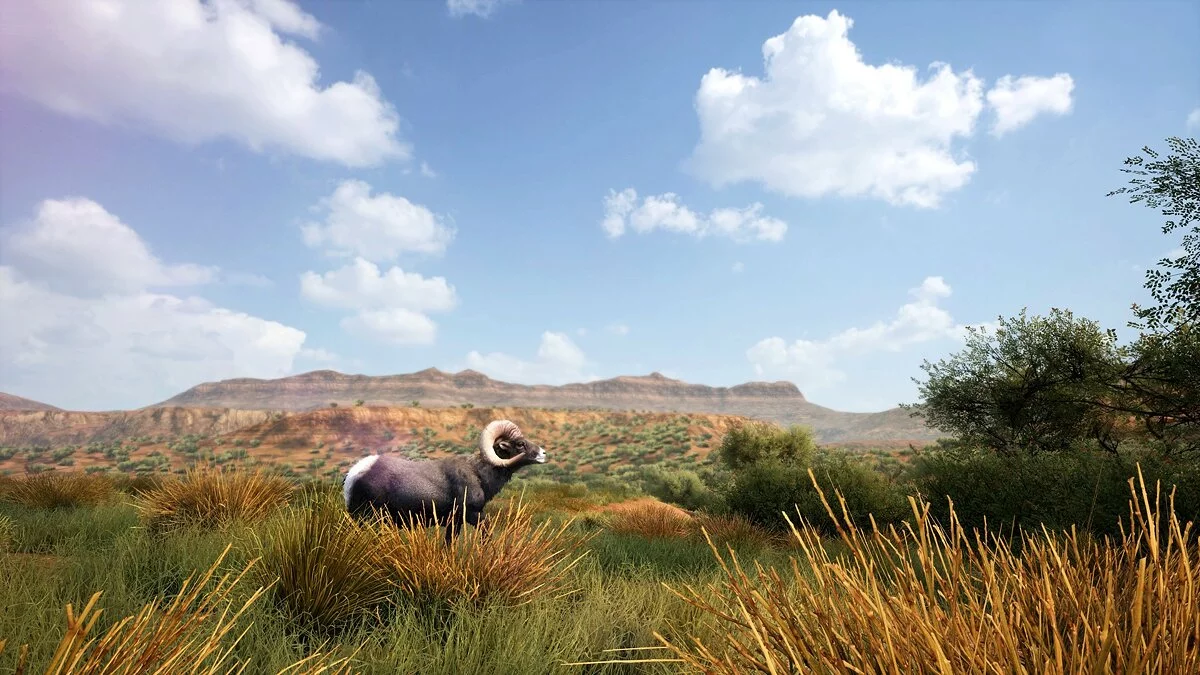 Скриншоты из Hunting Simulator 2 / Картинка 16