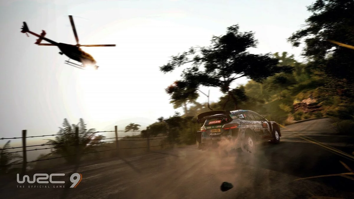 Скриншоты из WRC 9 / Картинка 3