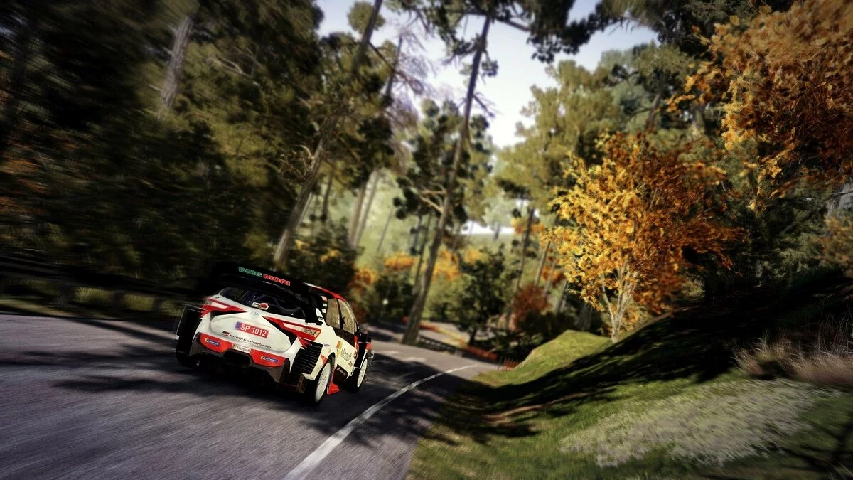 Скриншоты из WRC 9 / Картинка 9