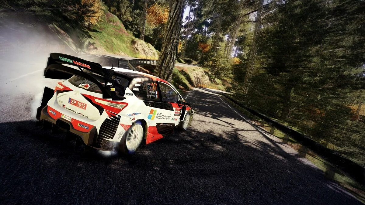 Скриншоты из WRC 9 / Картинка 10