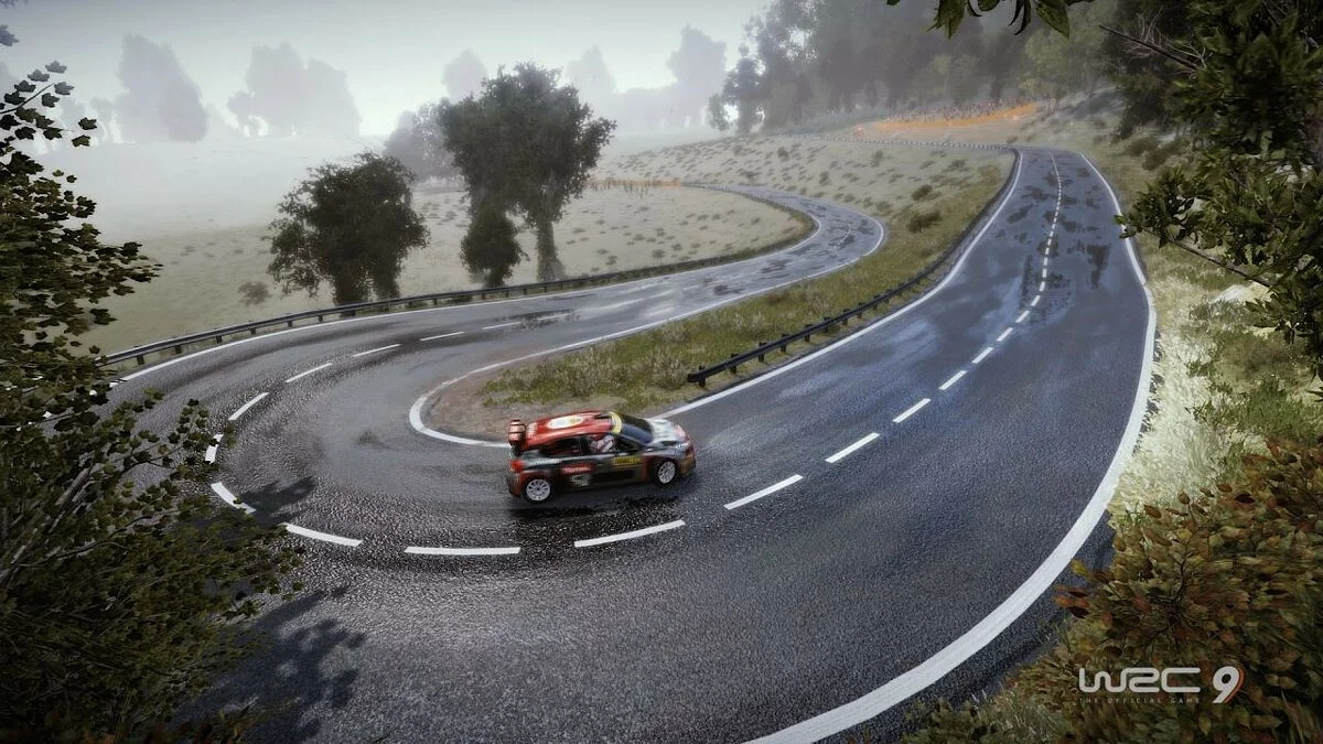 Скриншоты из WRC 9 / Картинка 16