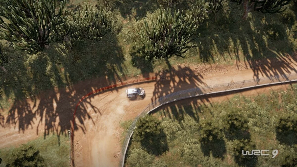 Скриншоты из WRC 9 / Картинка 18