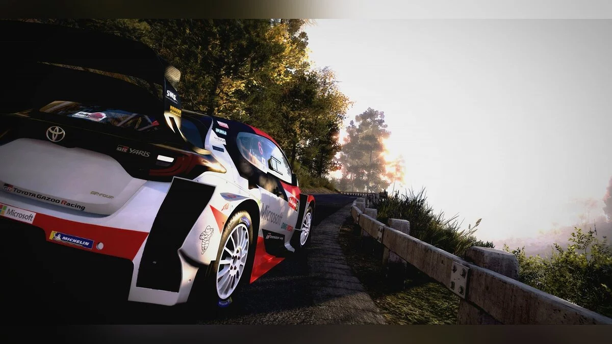 Скриншоты из WRC 9 / Картинка 22