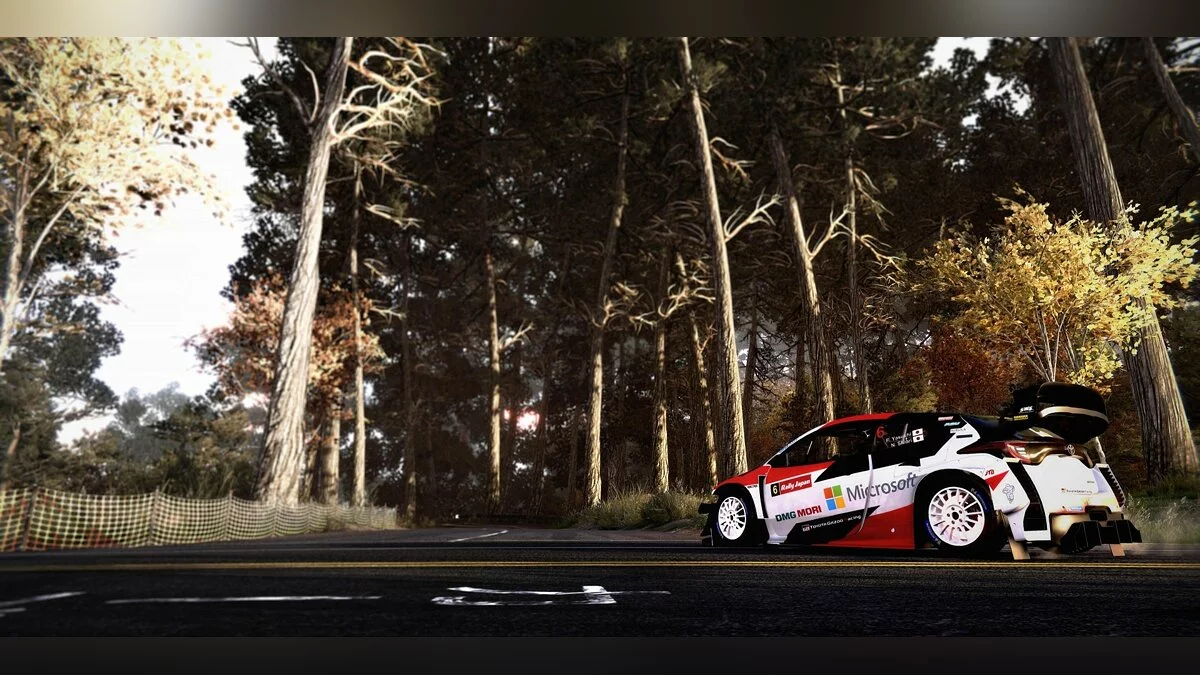 Скриншоты из WRC 9 / Картинка 24