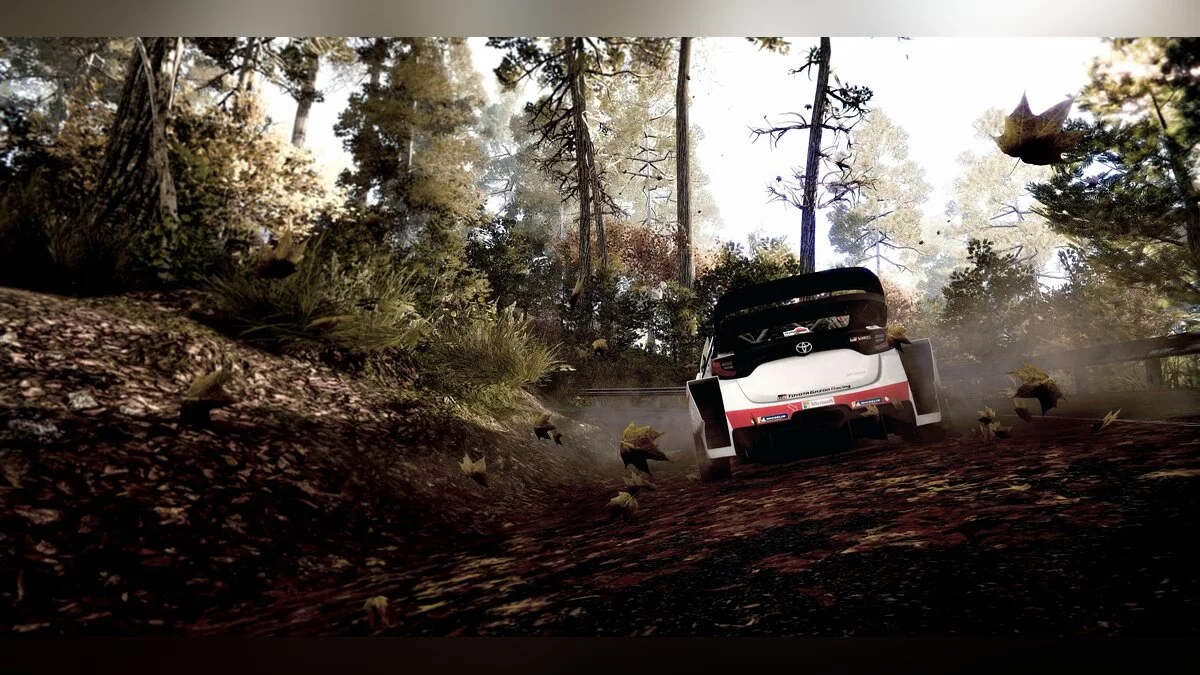 Скриншоты из WRC 9 / Картинка 25