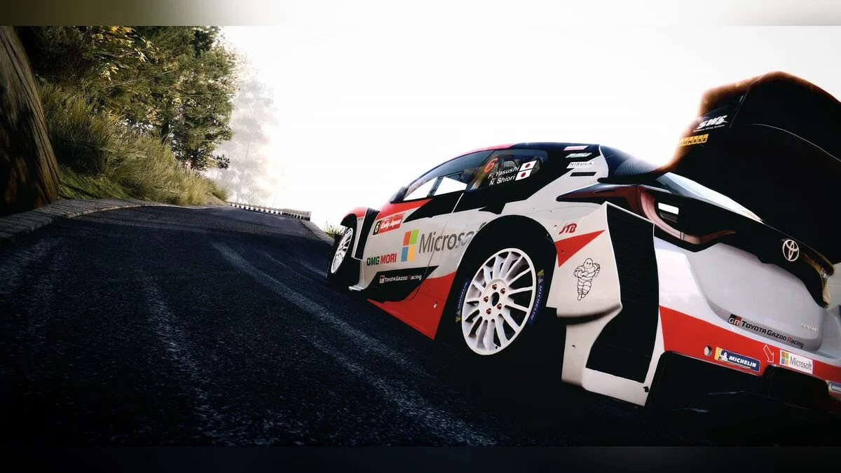 Скриншоты из WRC 9 / Картинка 26