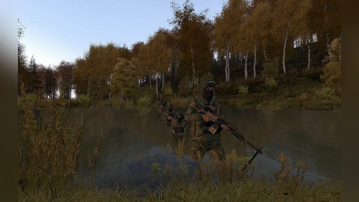Скриншоты из ArmA 2 / Картинка 5