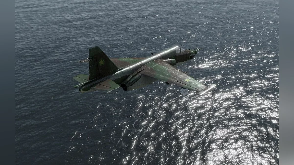 Скриншоты из ArmA 2 / Картинка 6