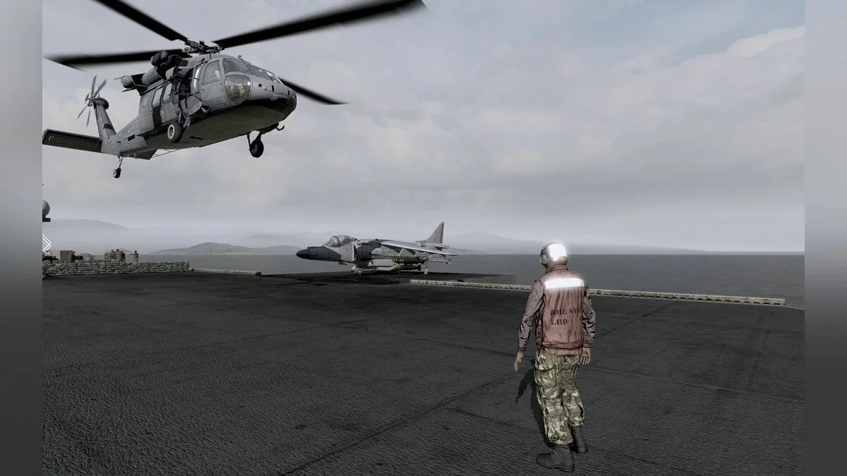 Скриншоты из ArmA 2 / Картинка 16