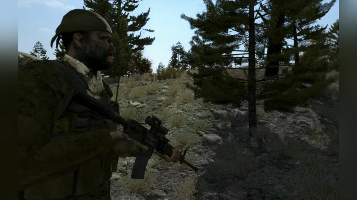 Скриншоты из ArmA 2 / Картинка 19