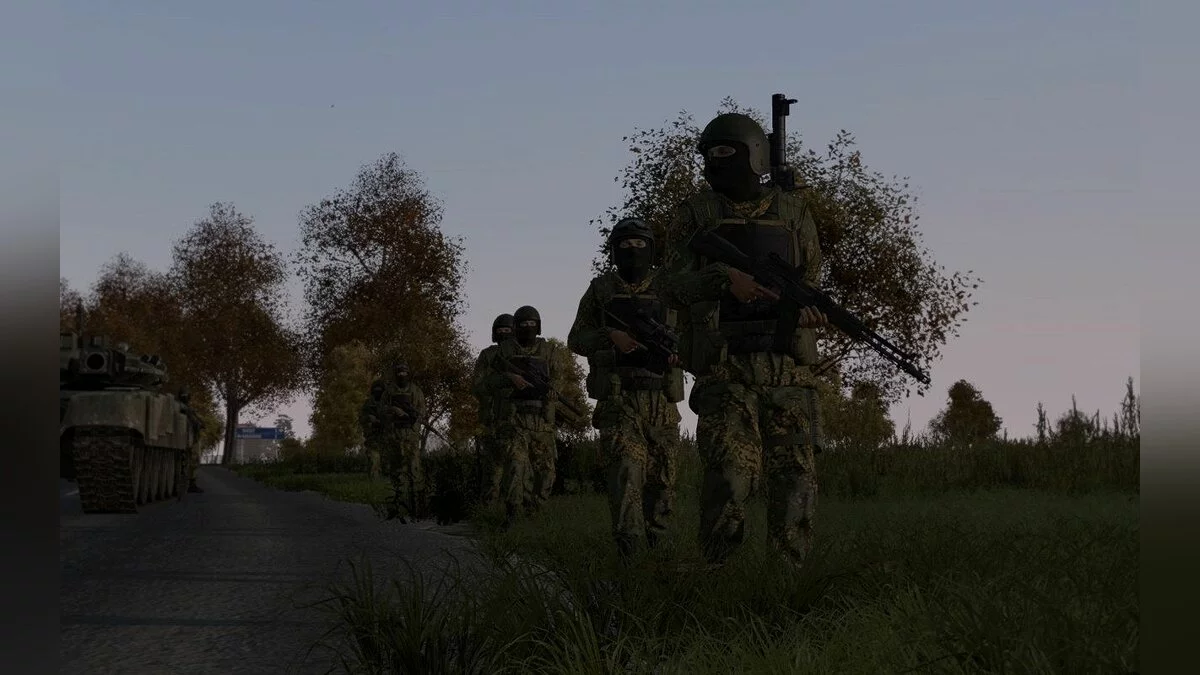 Скриншоты из ArmA 2 / Картинка 20