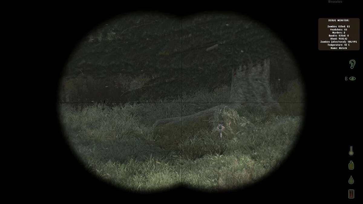 Скриншоты из ArmA 2 / Картинка 101