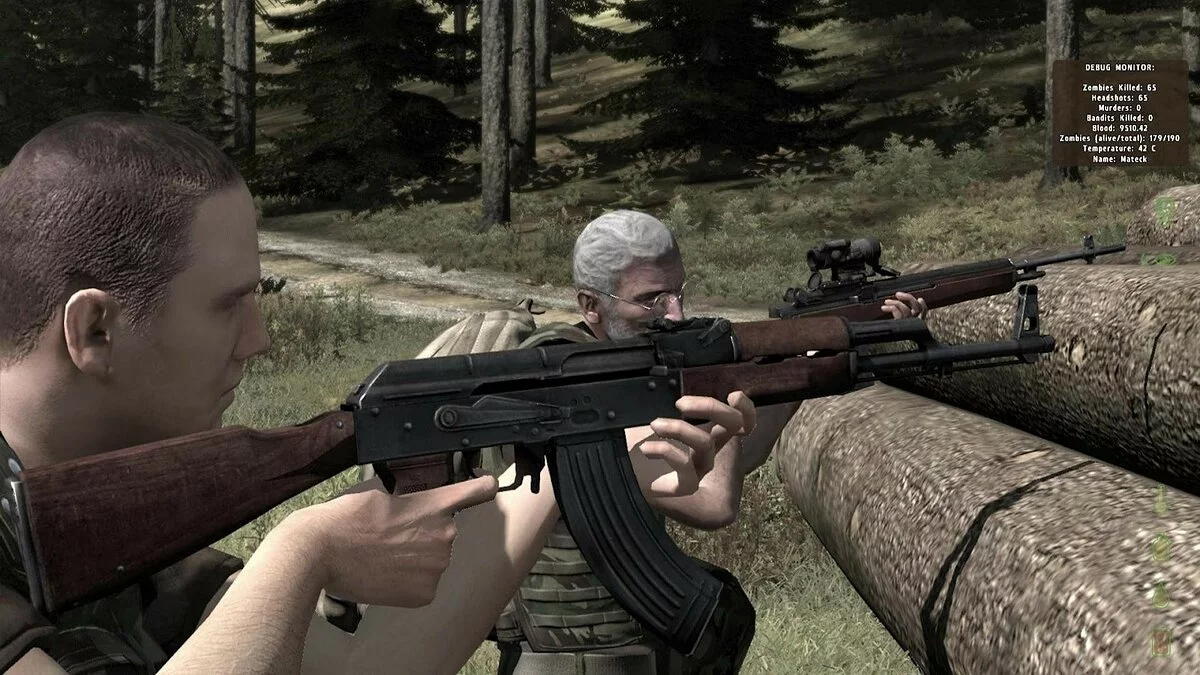Скриншоты из ArmA 2 / Картинка 102