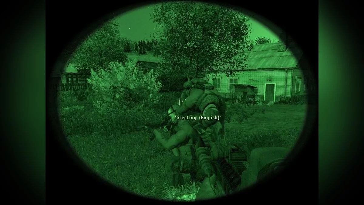Скриншоты из ArmA 2 / Картинка 120