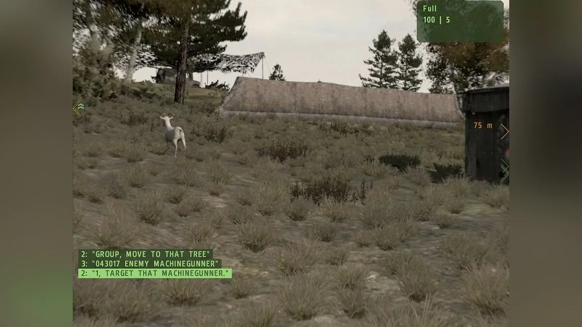 Скриншоты из ArmA 2 / Картинка 126